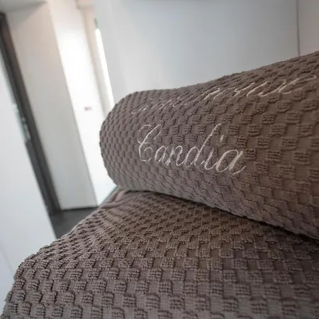 Attic Candia - Vatican Museum